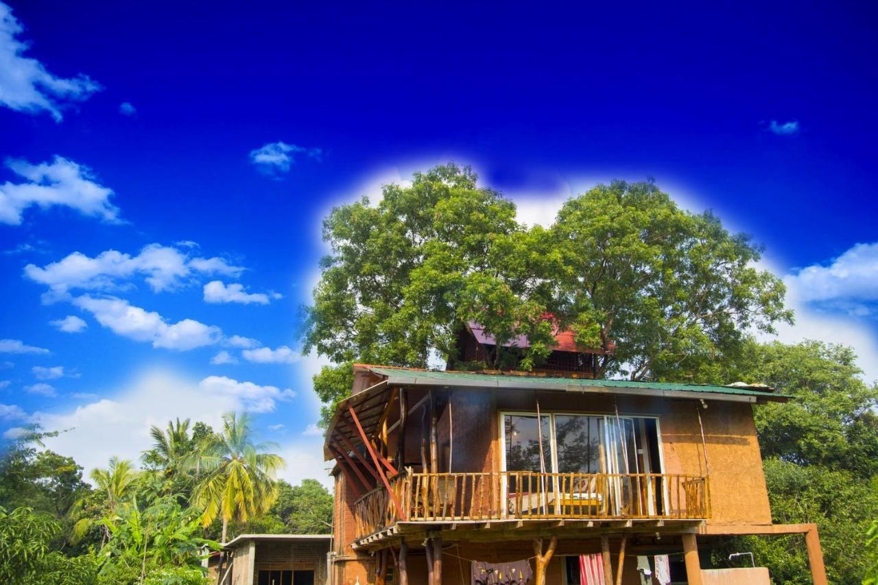 Anushka Nera Nature House Sigiriya Værelse billede